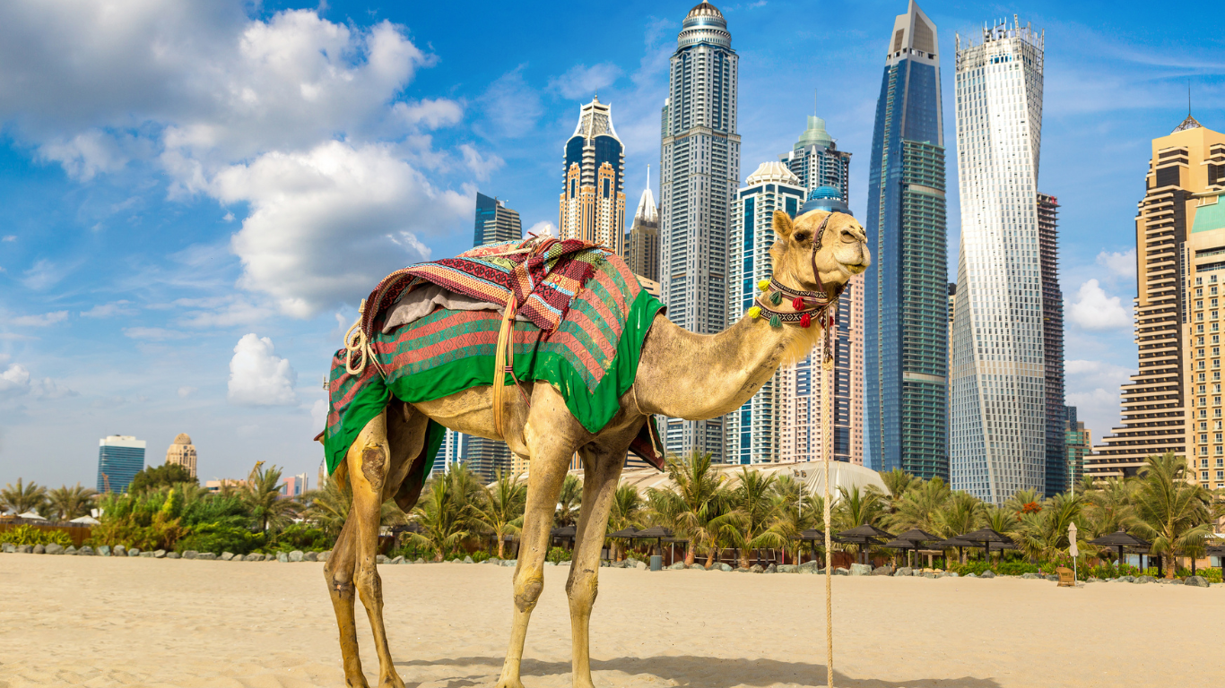 Dubai with kids