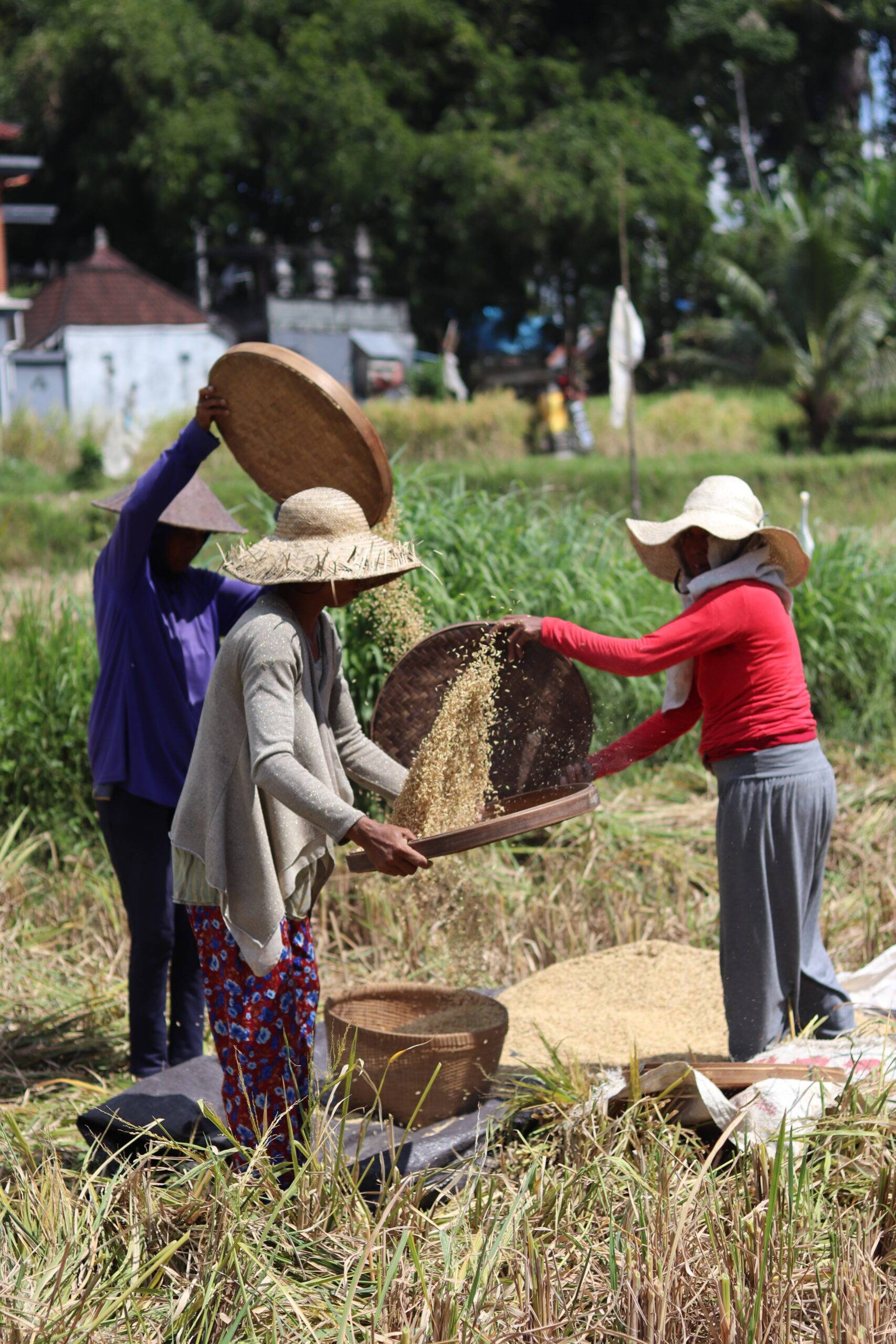 Cultural Bali with woman - Myladytrip.com