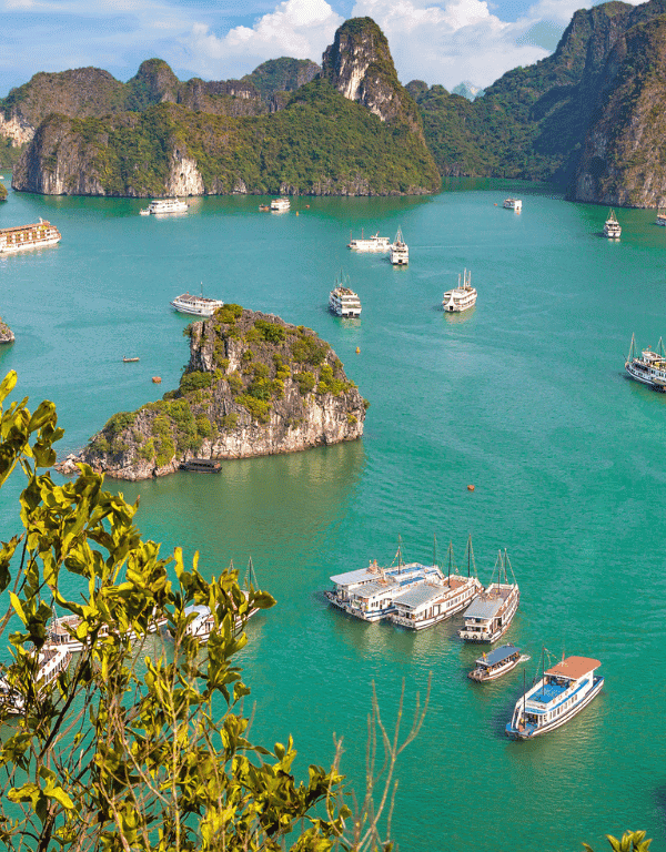 Beauties of Vietnam - Myladytrip