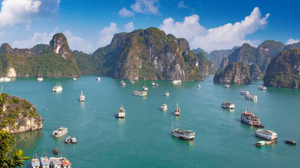 Vietnam Cruise