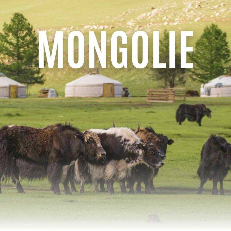 Monngolie