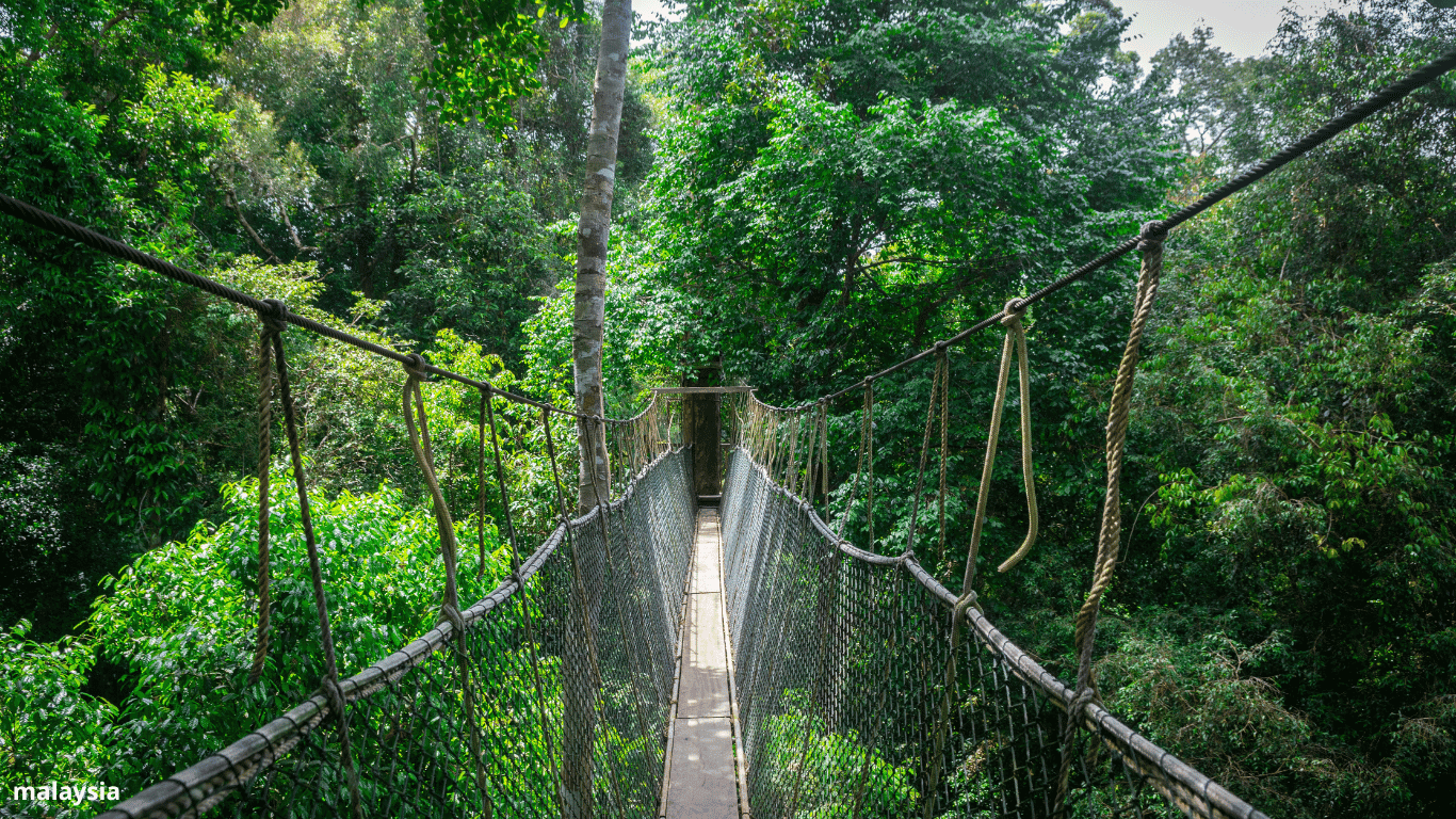 malaysia (5)