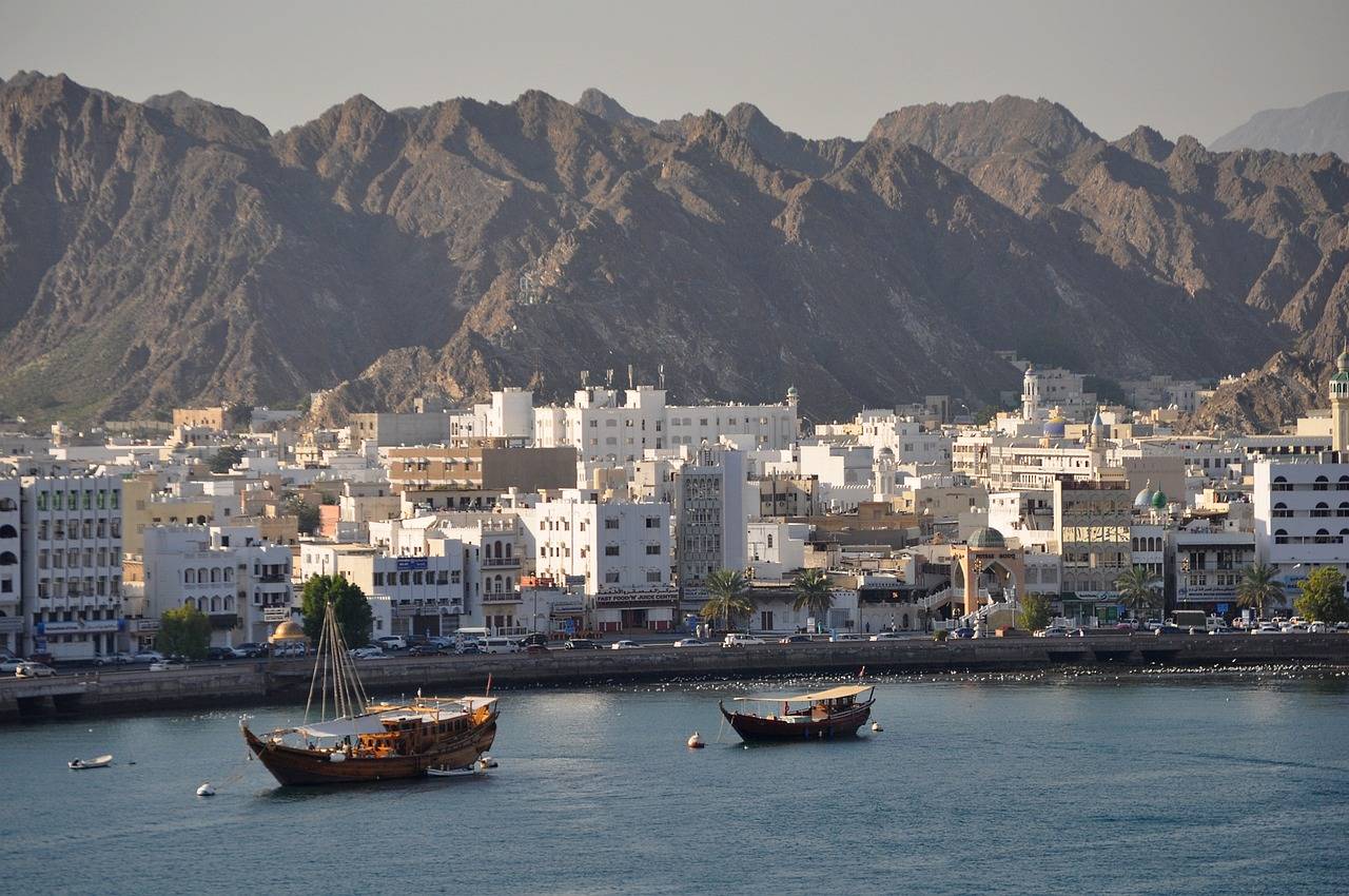 muscat-g14b1cd003_1280