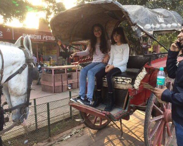 467504898 10229727657227966 3668269287502672006 n