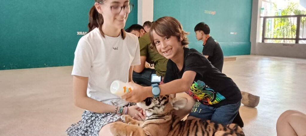 Notre collection de voyages organises pour mamans solo