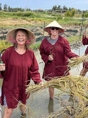 Beauties of Vietnam - Myladytrip